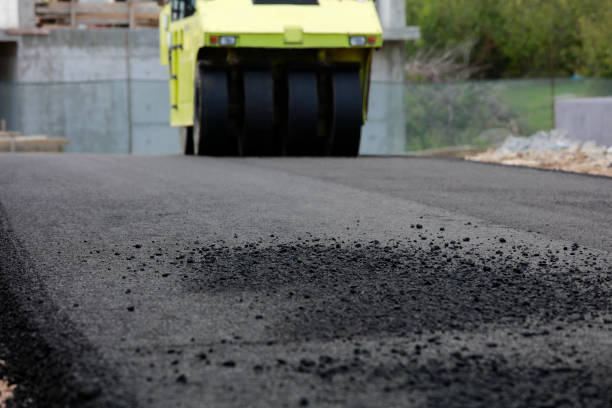 Best Concrete Paver Driveway  in On Top Of The World Designated Place, FL